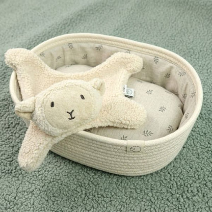 NOTRE DOUDOU BEBE SHEEPA DANS UN PANIER
