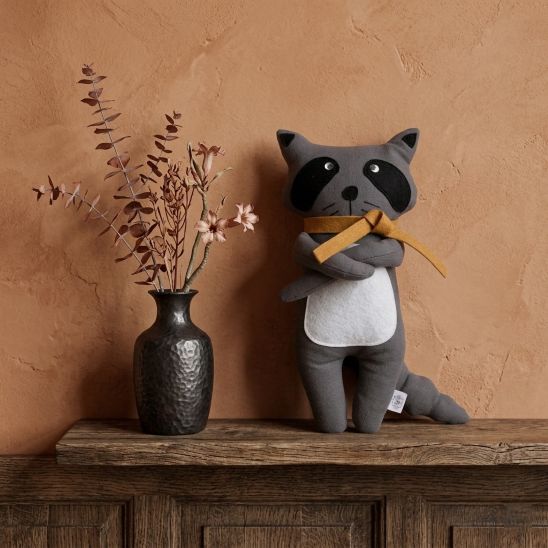 Notre doudou Raccoon
