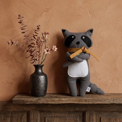 Notre doudou Raccoon